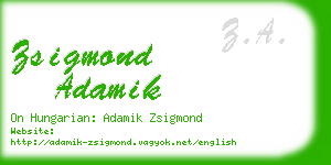 zsigmond adamik business card